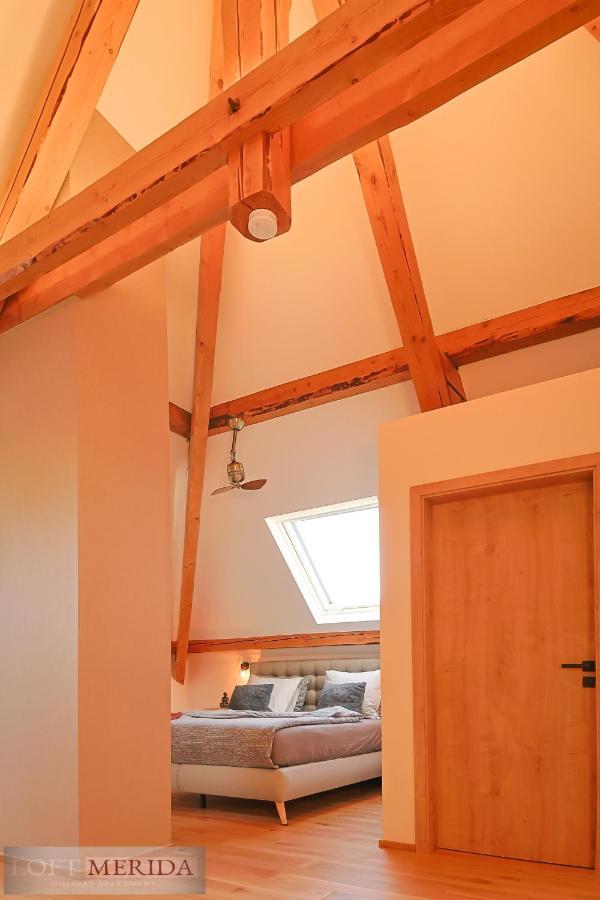 Loft Merida - Designer Apartment With Large Bathtub Butgenbach Exteriör bild